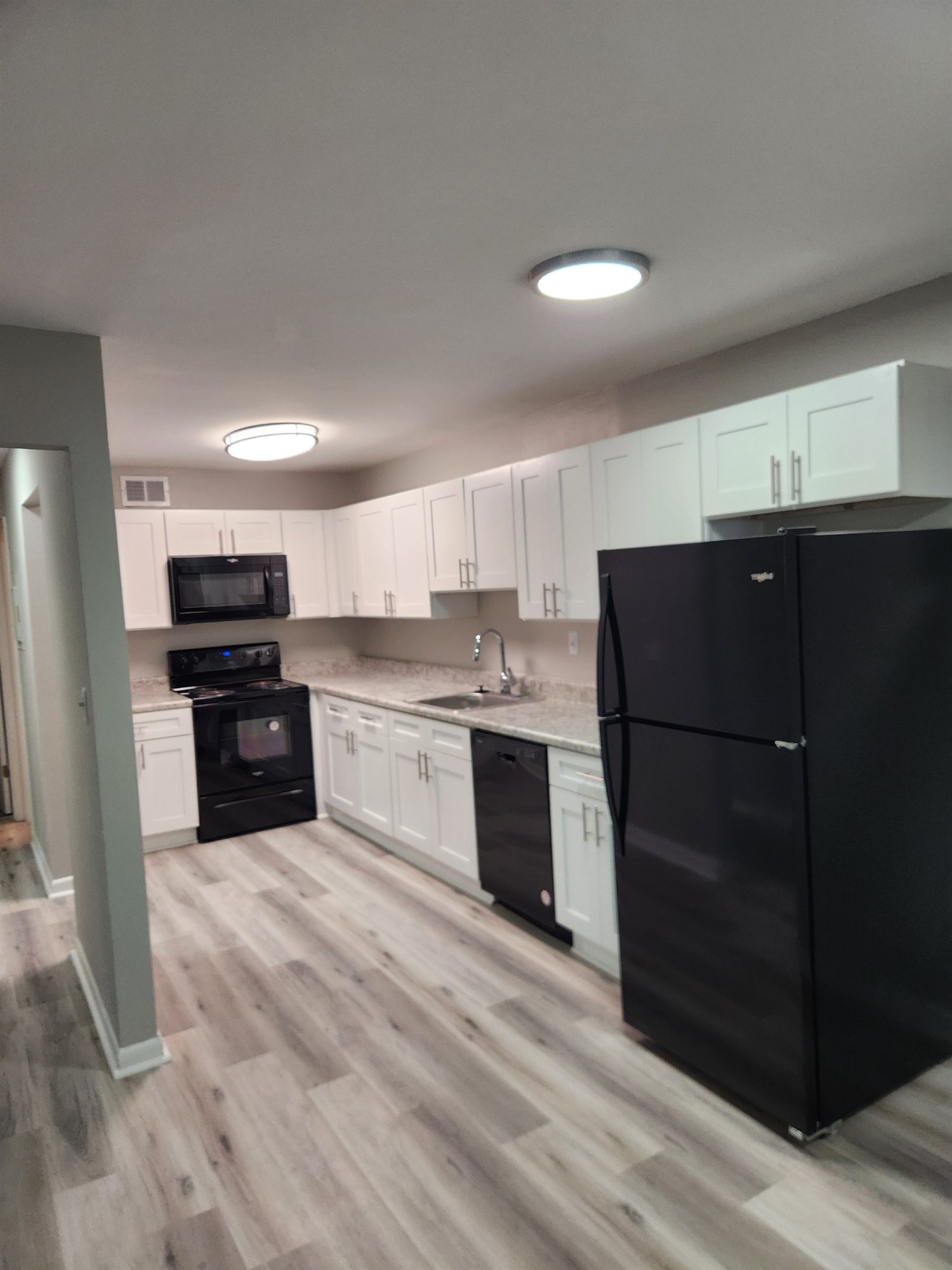 Chesapeake Point — Unit Interior Progress before